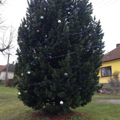 image-47