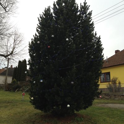image-46