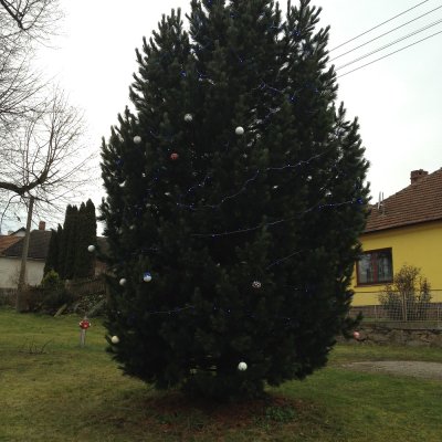 image-48